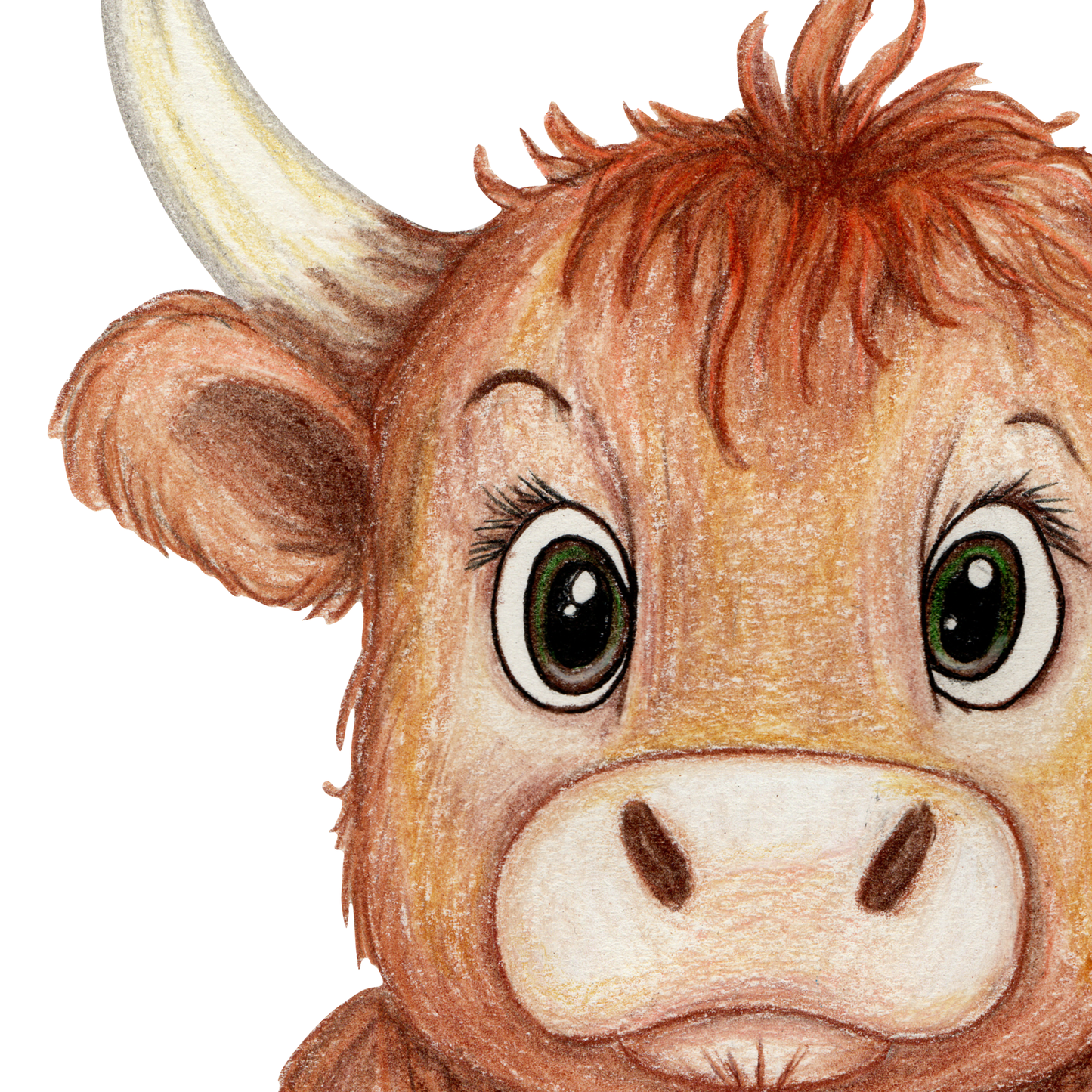 Amy's Cow