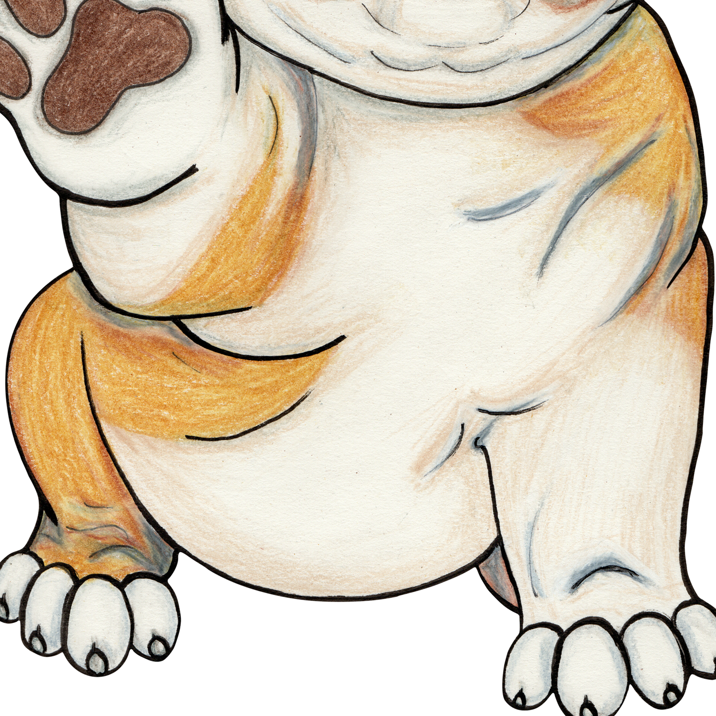 Bulldog
