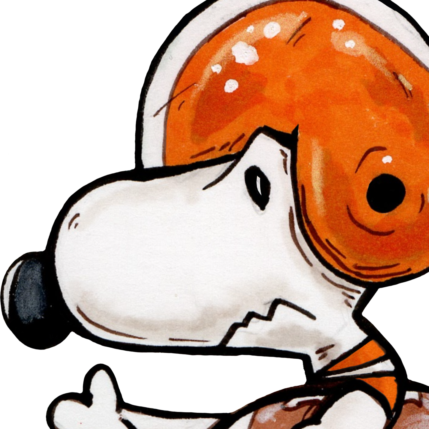 Football Dog