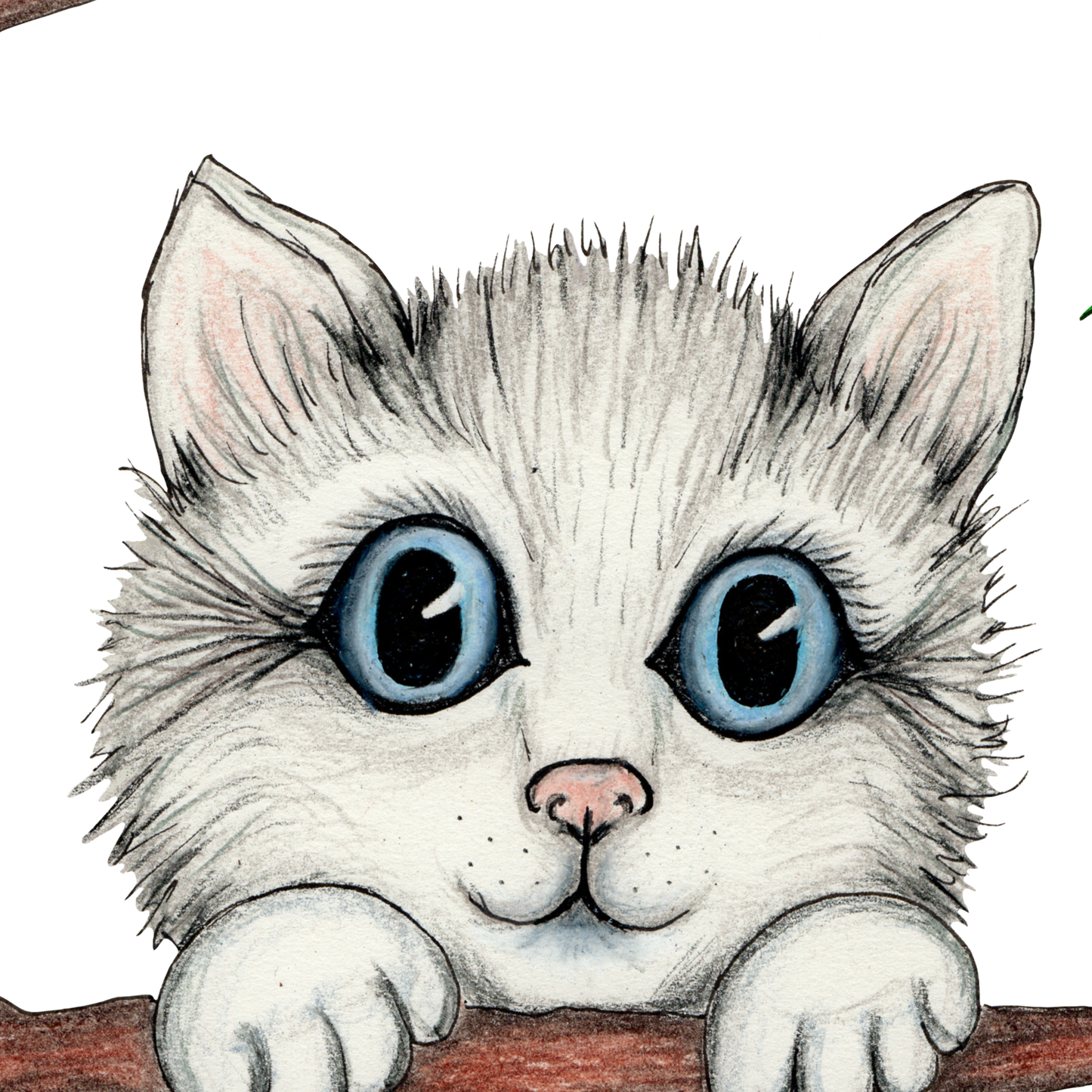 Swifty Kitty