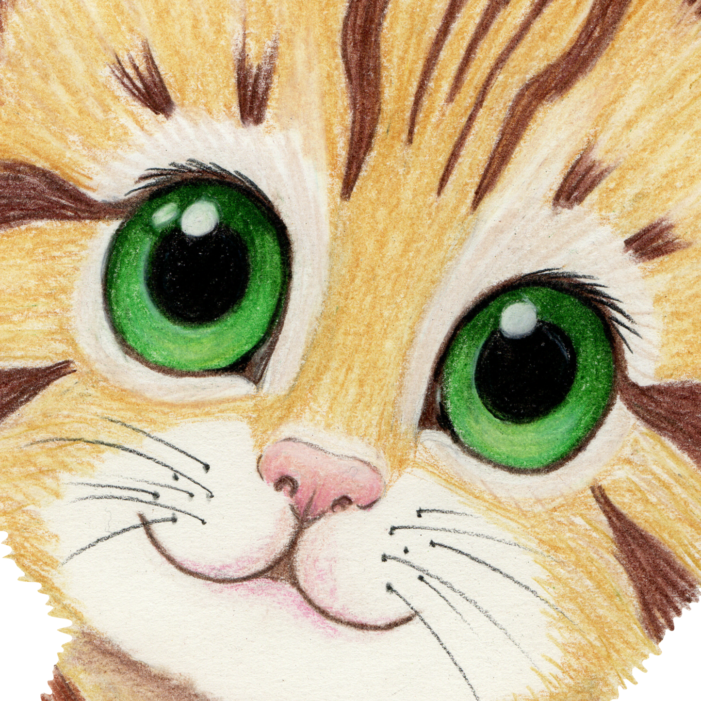 Tiger Cat